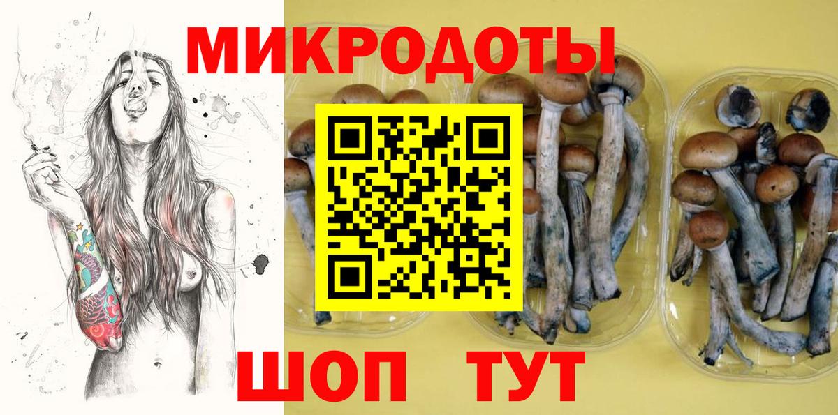 Псилоцибиновые грибы Cubensis Магадан